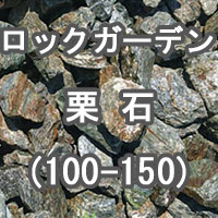 ロックガーデン用のグリ石 100-150