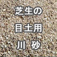 芝生の目土用 川砂